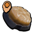 Grub Jerky